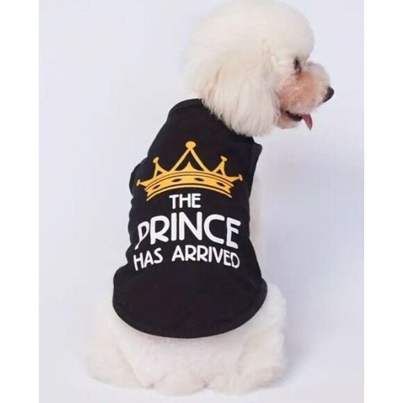 The Prince Has Arrived Black‎ Dog Pet Large T-Shirt NWOT - Picture 1 of 4